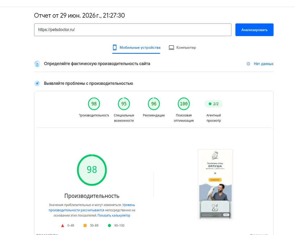 PageSpeed — Орнитологический госпиталь