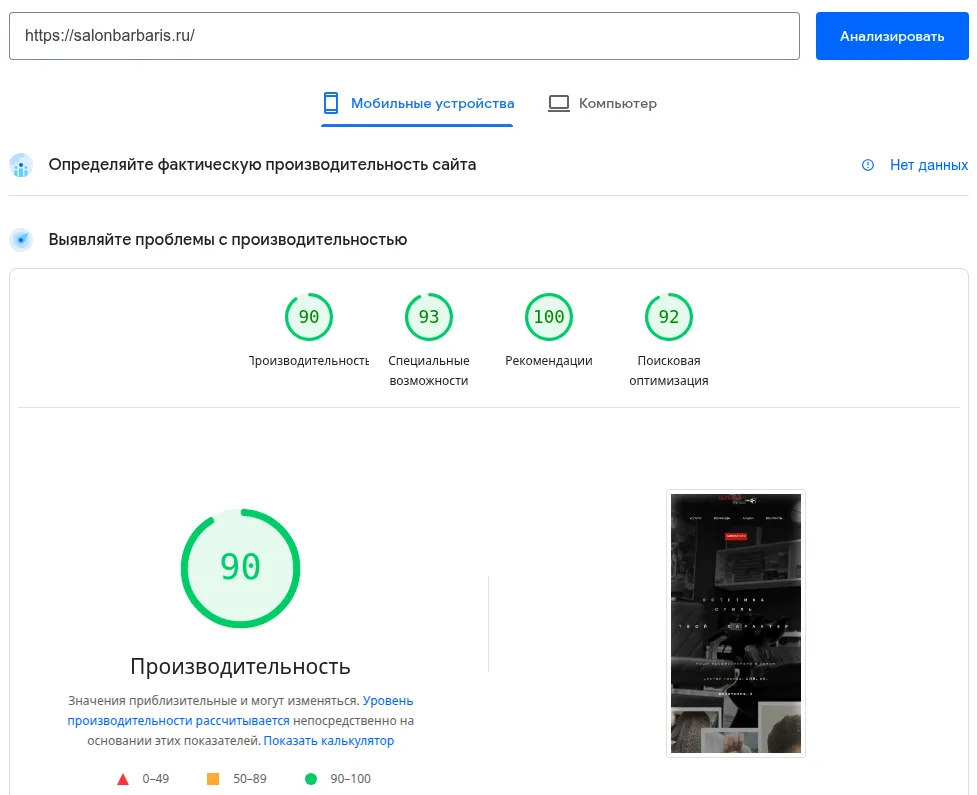 PageSpeed — Барбарис